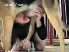 A snippet from an old film for zoophilia fans
